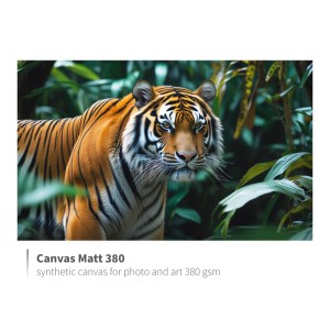 Fomei Canvas Matt 380_01